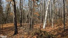LOT 2 TALLY HO WINTER PARK Road, Lake of Bays, ON P1H 2E5