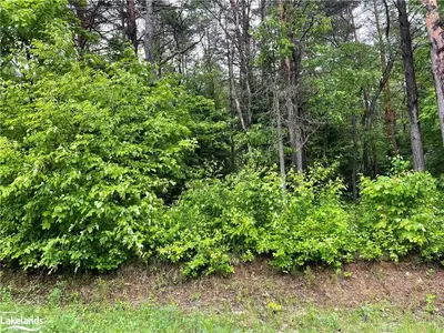 101 Albert Street N, Sundridge, On P0a 1z0
