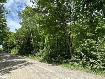 Lot 2 Dwight Beach Road, Lake Of Bays, On P0a 1h0