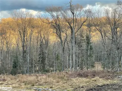 Vacant Land in Ryerson