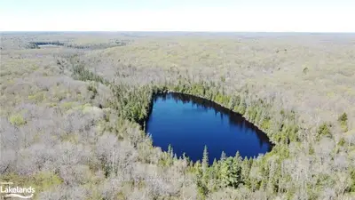 0 Trillium Trail, Dysart Et Al, On K0m 1s0