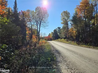 Vacant Land in Minden Hills