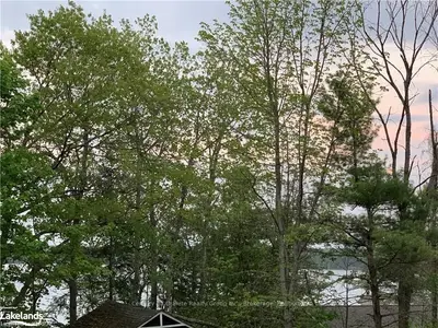 Vacant Land in Algonquin Highlands