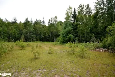 Vacant Land in Dysart et al