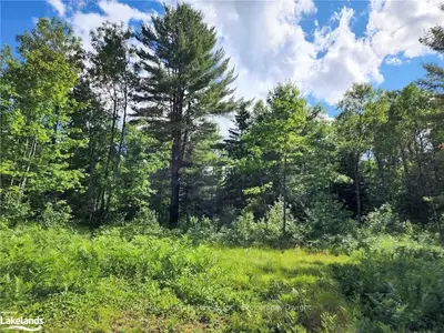1075 Spring Lake Road, Lake Of Bays, On P0a 1h0