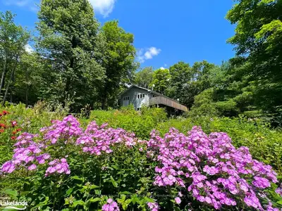 Detached in Whitestone