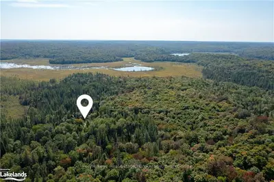 Lot 15 Concession 11, Huntsville, On, P0b 1m0