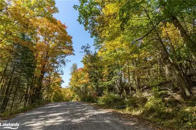 Vacant Land in Lake of Bays