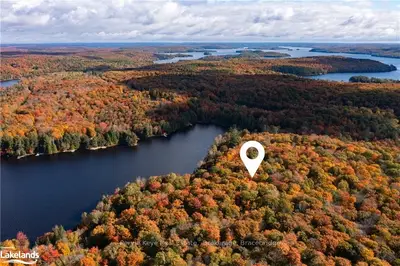 Vacant Land in Lake of Bays