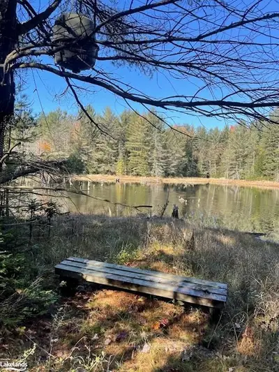 Vacant Land in Bracebridge