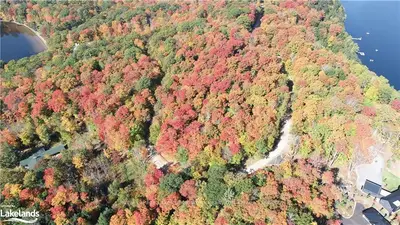 0 OSBORNE POINT Road, Lake of Bays, ON P1H 2J3