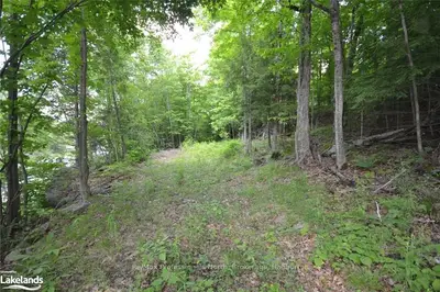 0 County Road 21, Minden Hills, On, K0m 1s0