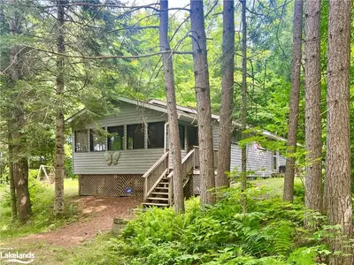 Detached in Lake of Bays