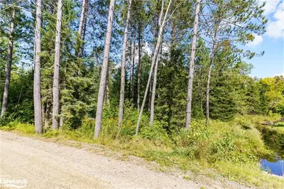 Vacant Land in McMurrich/Monteith