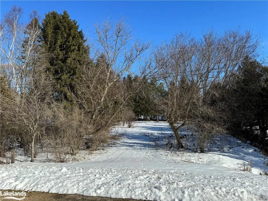 29 George Street, Chatsworth, On N0h 1g0