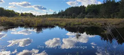 10160 County Road 41, Addington Highlands, On, K0h 1z0