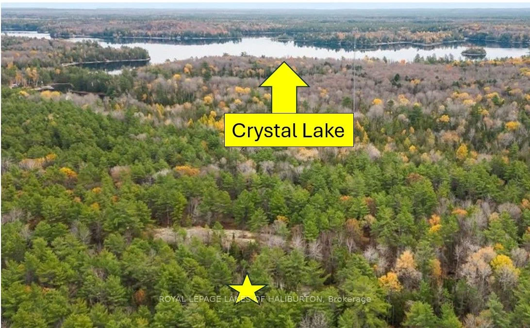 Vacant Land in Trent Lakes