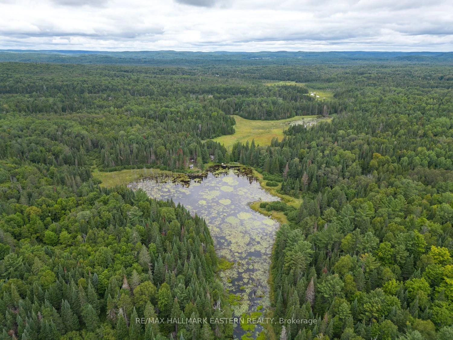 Vacant Land in Bancroft