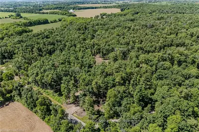 Vacant Land in Brant