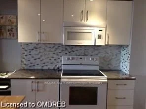 127 Silurian (basement Only) Drive, Guelph, On N1e 7g2