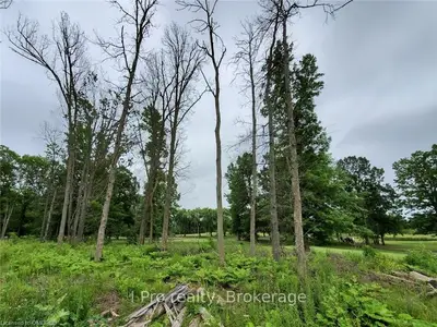 V/L BERTIE ST Street, Fort Erie, ON L2A 5M4