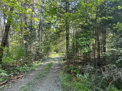 Vacant Land in Calvin