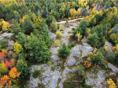 Vacant Land in Nipissing