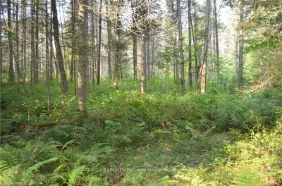Vacant Land in Nipissing