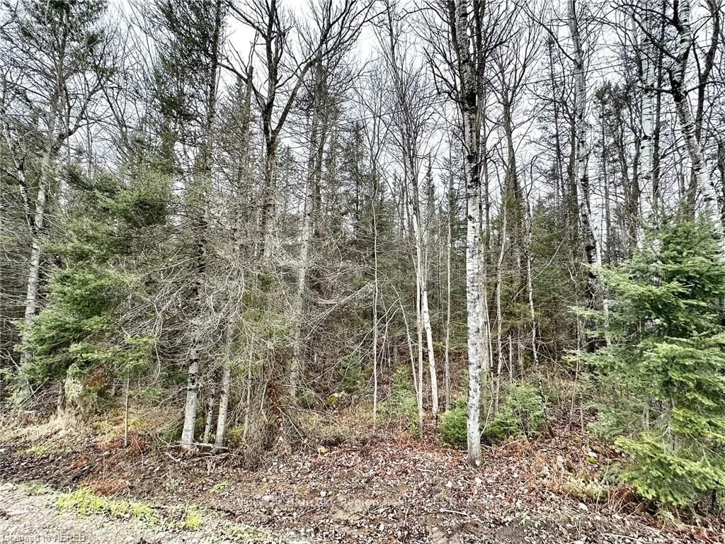 PT LOT 13 JANVEAU Road, Papineau-Cameron, ON P0H 1V0