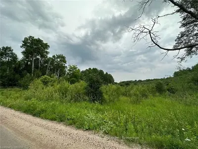 Vacant Land in Bonfield