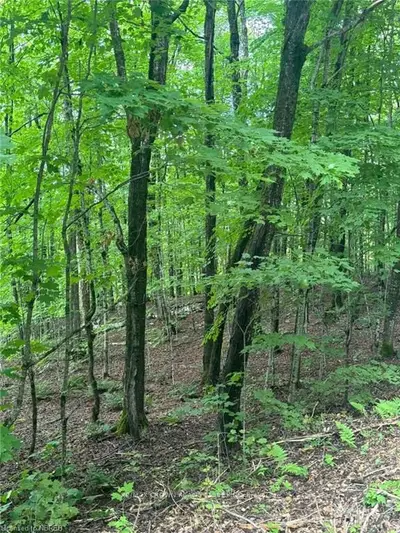 Vacant Land in Parry Sound Remote Area