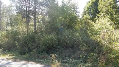 Vacant Land in North Bay