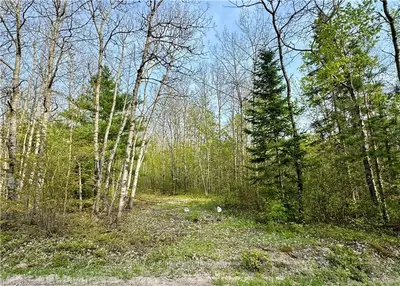 Vacant Land in Callander
