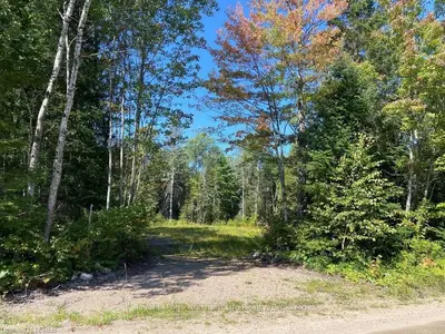 Pt 1 Lot 1 Con 4 Boundary Road, Papineau-cameron, On P0h 1v0