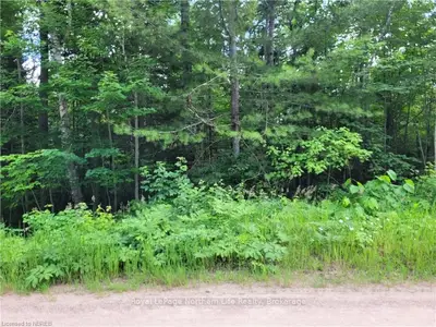 LOT 18 SHIELDS POINT Road, Bonfield, ON P0H 2E0