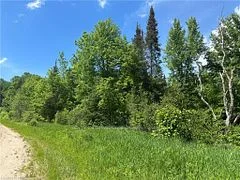 LT 15 SOUTH RIVER Road, Nipissing, ON P0H 1W0