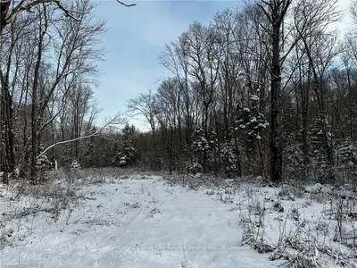 Pt Lt 34&35 Marion Road, Mattawan, On P0h 1v0