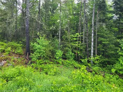 Pt Lot 18 Con 11 Papineau Street, Papineau-cameron, On P0h 1v0