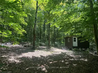 Pt Lt 30 Boundary Road, Bonfield, On P0h 1e0