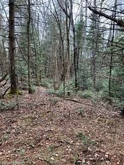 3051 Hwy 534, Nipissing, On, P0h 1w0