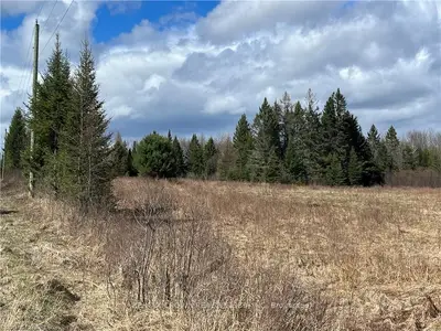 Pt Lt 9 Line 3 Road S, Bonfield, On P0h 1e0