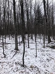 0 Old Forestry Road, Nipissing, Unorganized, South Part, On P0h 2l0