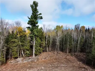 316 Gravelle Road, Papineau-cameron, On P0h 1v0