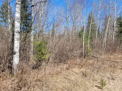 RT 1 LOT 33 CON 6 HWY 533, Mattawan, ON, P0H 1V0