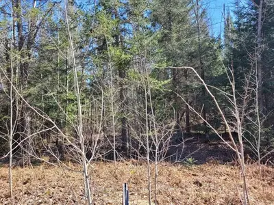 SEVERED LOT 2 LOT 33 CON 6 HWY 533, Mattawan, ON, P0H 1V0
