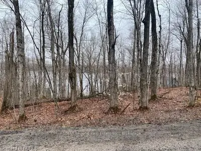 PART 5 LIMBERLOST POINT Road, Parry Sound Remote Area, ON P0H 2R0