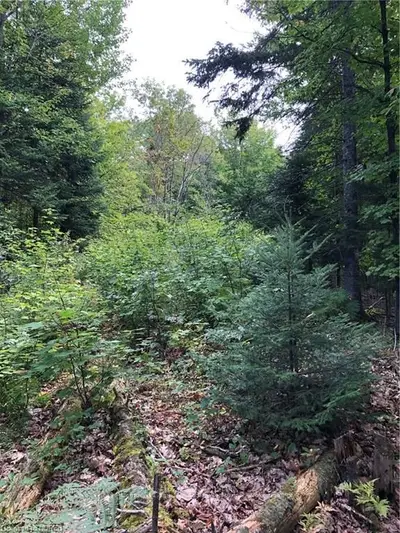 0 LINDSAY'S HILL Road, Parry Sound Remote Area, ON P0H 2L0