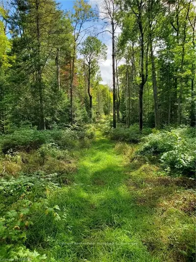 LOT 2 SOUTHSHORE Road, East Ferris, ON P0H 1E0