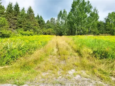 0 COMMANDA LAKE Road, Parry Sound Remote Area, ON P0H 1W0