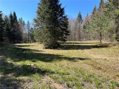 1243 BARRETT Road, Nipissing, ON P0H 1J0